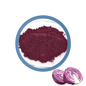 Red Cabbage Powder E163 (YANGGEBIOTECH Food Colors)
