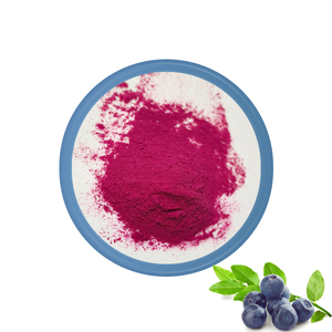 Bulk Blueberry Juice Powder