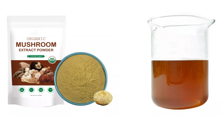 organic hericium erinaceus extract powder