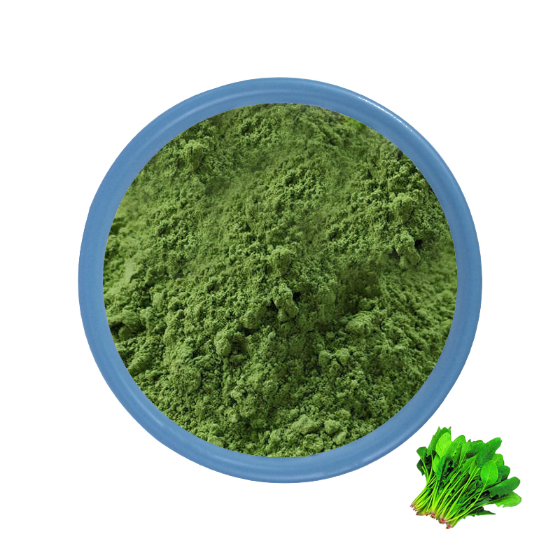 Spinach Juice Powder wholesale YanggeBiotech