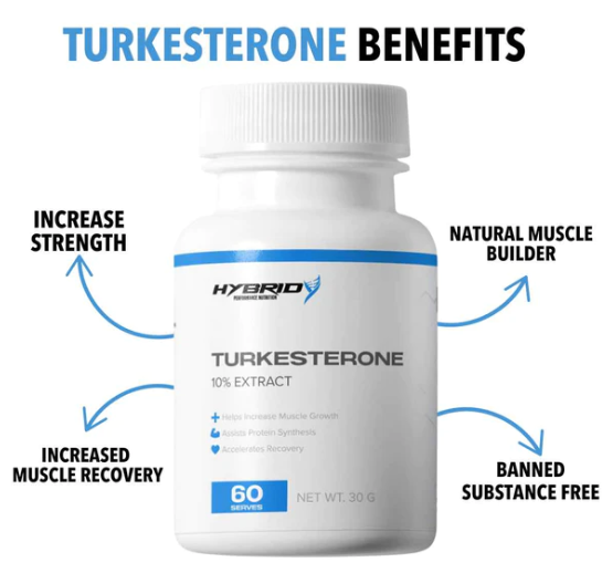 Turkesterone powder benefits