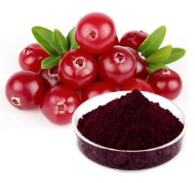 Bilberry Extract Anthocyanins