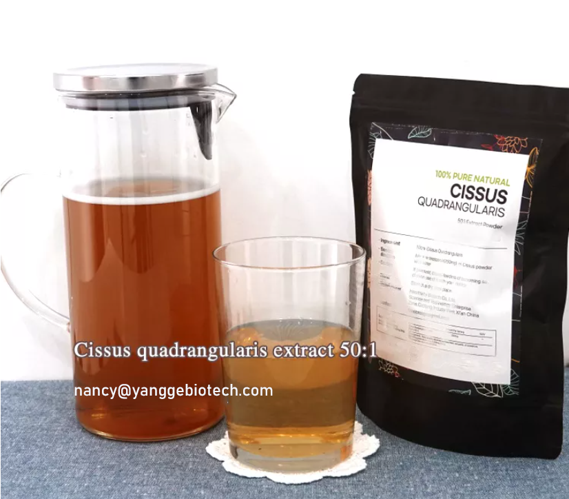 cissus quadrangularis super extract powder - YanggeBiotech