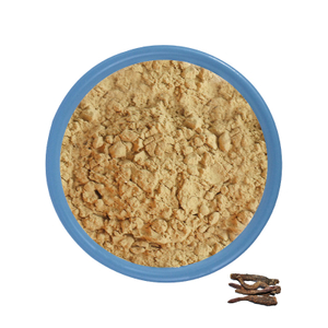 Cistanche Extract Powder