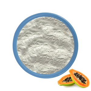Papain Enzyme Powder