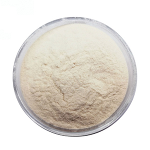 Phosphatidylserine Soybean Extract
