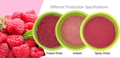 Raspberry Fruit Juice Concentrate Powder price - YanggeBiotech.png