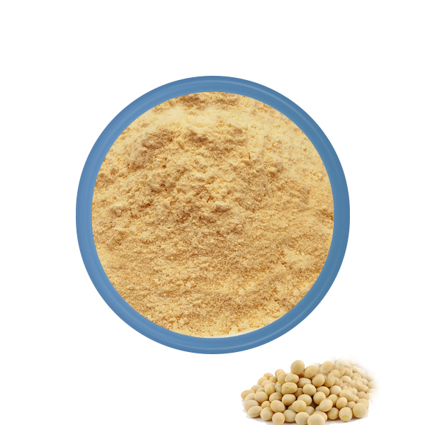 Soy Lecithin Powder